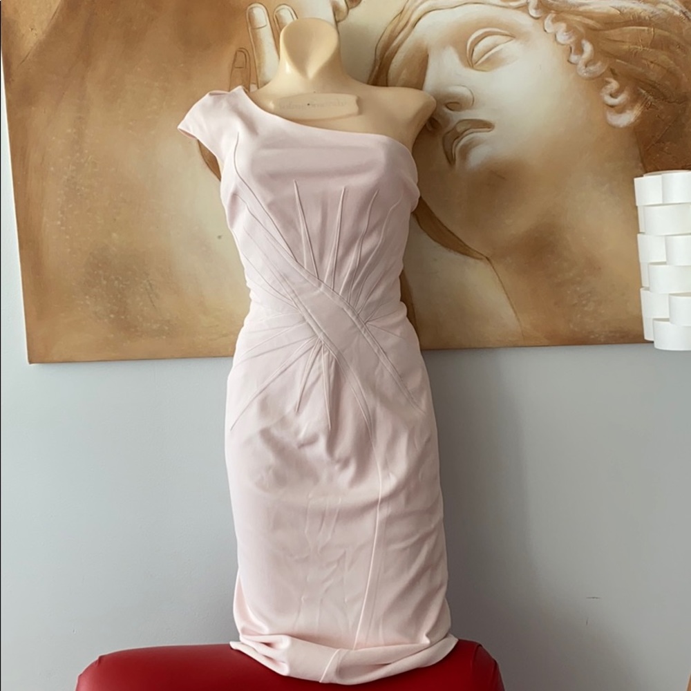 ZAC POSEN dress